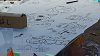 camp26 (486)_thumb.png